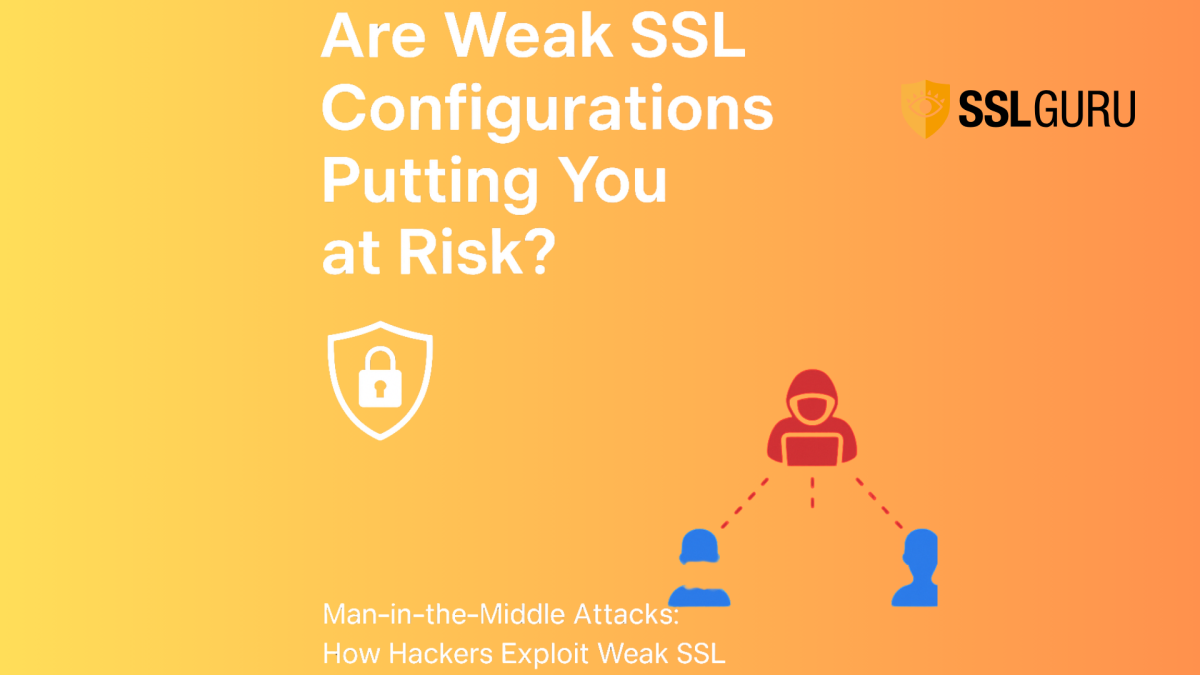sslguru.com